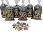 Fossil Party Pack